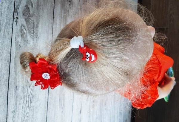 queues de cheval avec des queues de cheval fortes