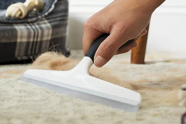 Nettoyer la laine d'un tapis