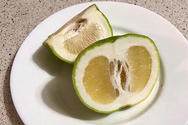 Chérie dans une assiette