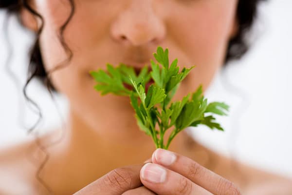 Fille avec un brin de persil