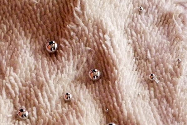 Mercure sur le tapis