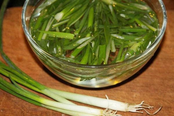 Oignons verts en saumure