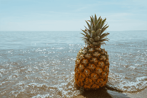 Ananas espagnol au bord de la mer