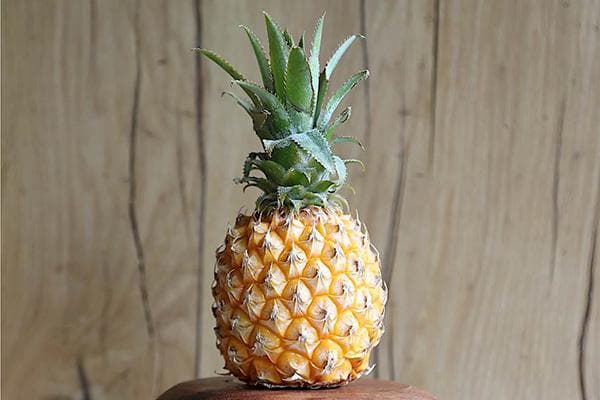 Ananas royal