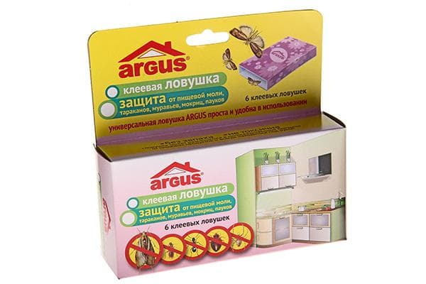 Piège à mites alimentaires