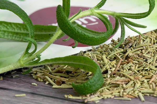 Romarin frais et séché