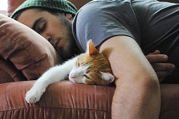 Un homme couche avec un chat