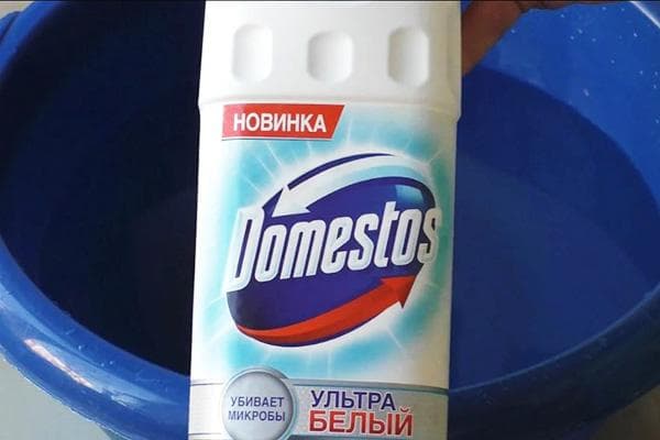 Domestos et bassin bleu