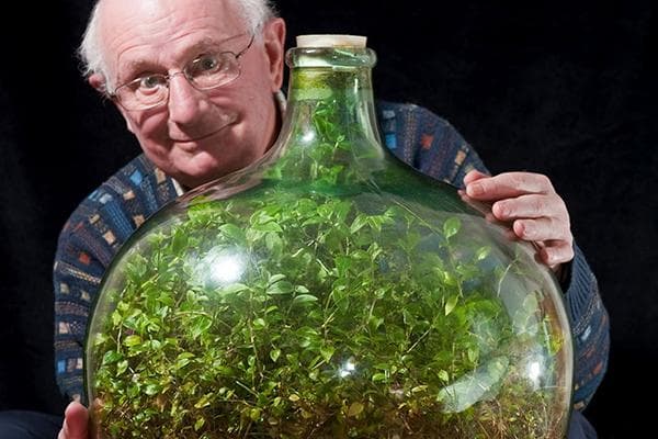 Homme avec florarium fermé