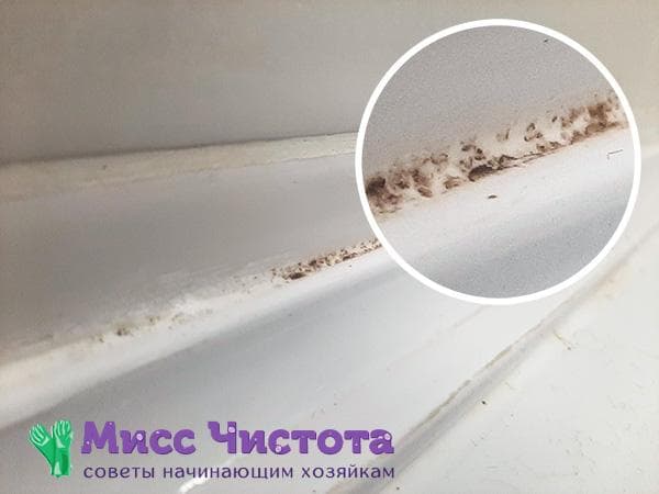 Moisissure dans la salle de bain