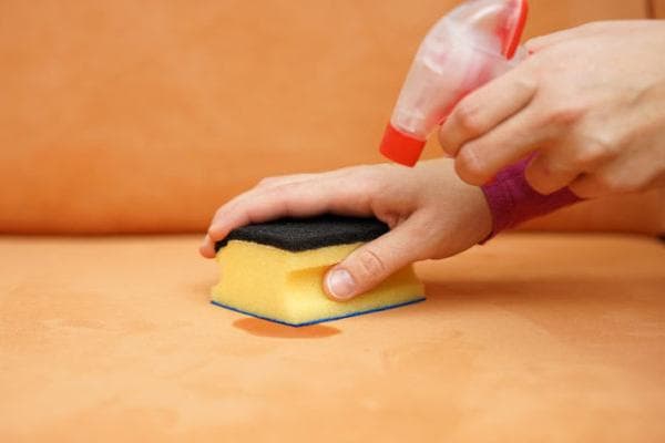 Traitement du canapé contre l'odeur d'urine