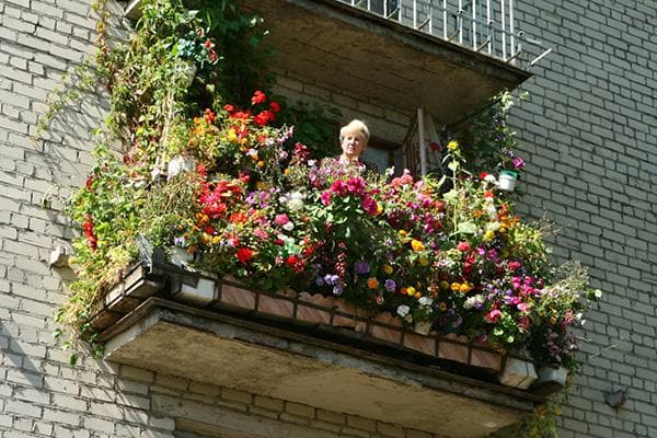 Une femme a fait pousser de nombreuses fleurs sur son balcon