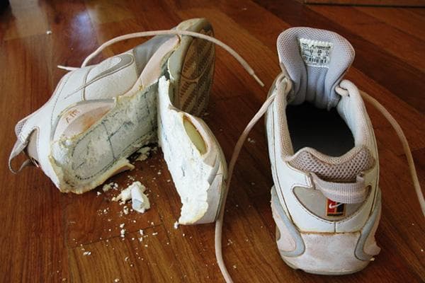 La semelle de la sneaker s'est effondrée après le lavage