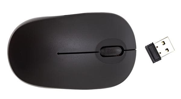 Souris d'ordinateur sans fil de Fix Price