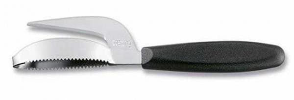 Couteau pour nettoyer le poisson des écailles