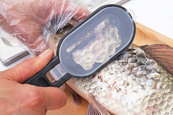 Écailleur à poisson avec réservoir