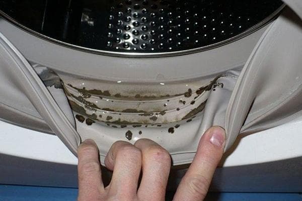 Moisissure sur l'élastique de la machine à laver
