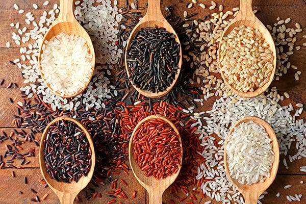 Différents types de riz