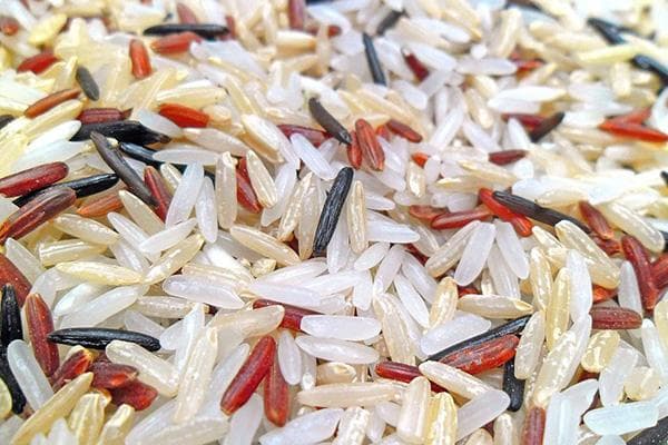 Mélange de différentes variétés de riz