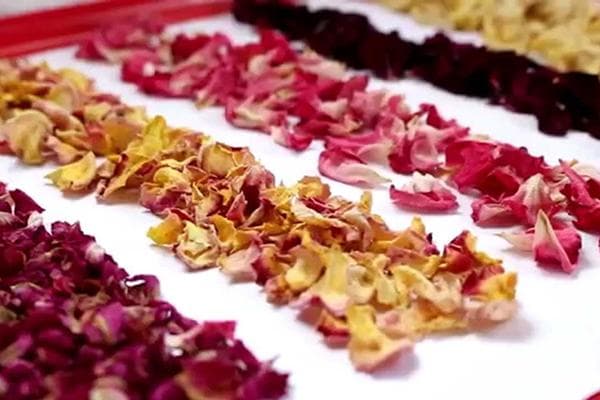 Pétales de roses séchées