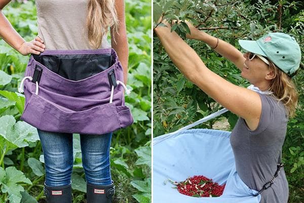 Tablier de cueillette de baies