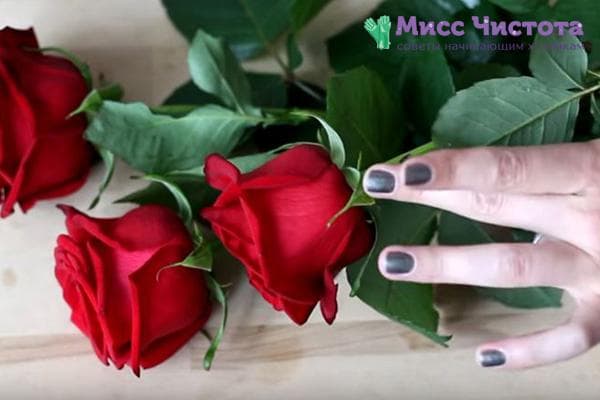 Roses rouges d'un bouquet