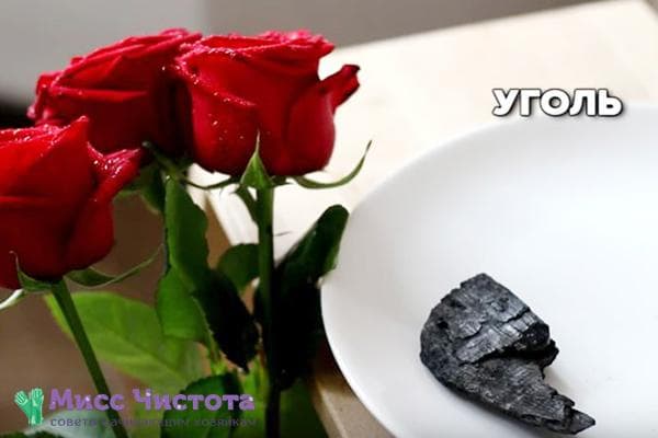 Charbon pour fleurs dans un vase