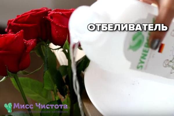 Eau de Javel pour roses dans un vase