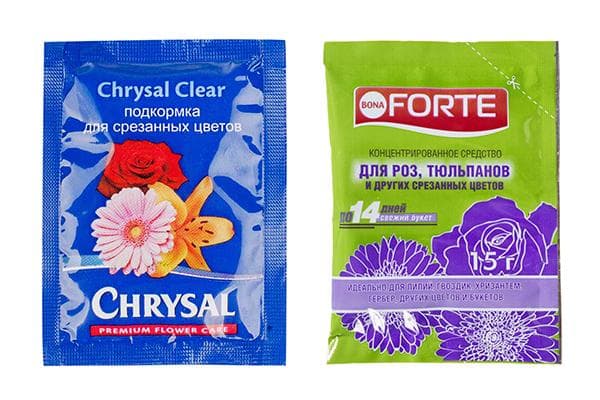 Engrais spéciaux pour fleurs en vase