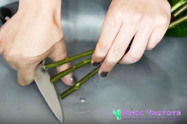 Tailler des roses pour un bouquet sous l'eau