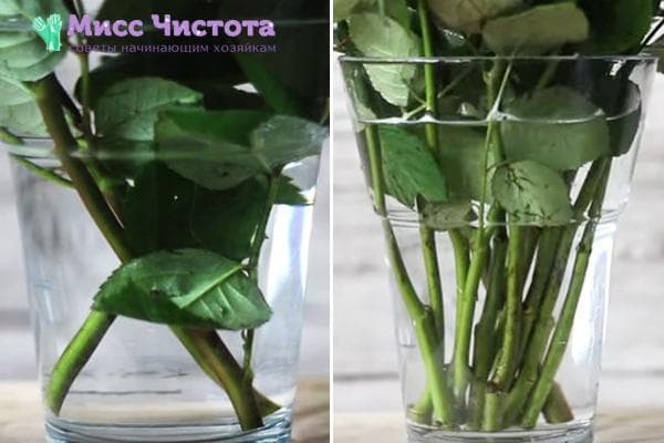 Retirer les feuilles inférieures et les épines des roses d'un bouquet