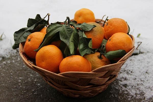 Mandarines dans un vase en osier