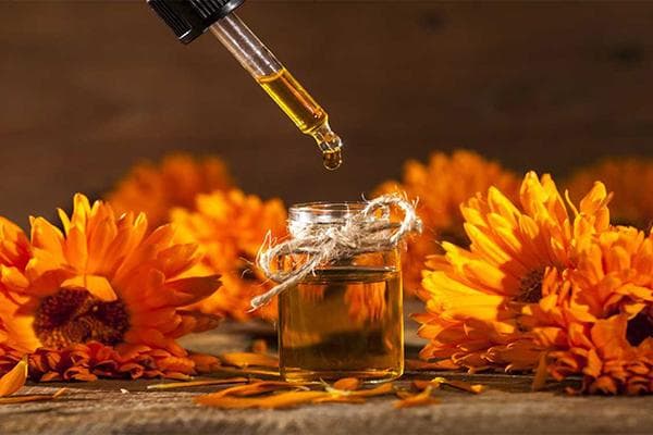 Huile infusée aux fleurs de calendula