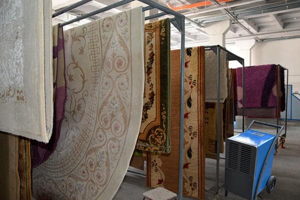 Séchage des tapis après nettoyage à sec