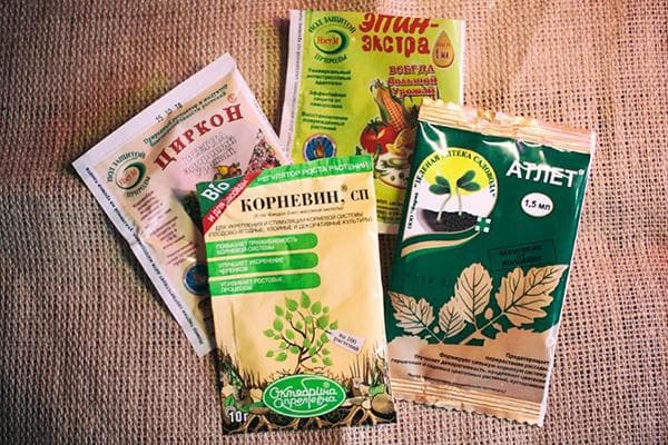 Stimulants de racines