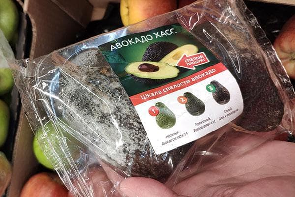 Niveaux de maturité de l'avocat Hass