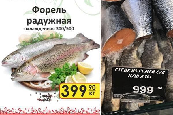 Prix de la truite et du saumon