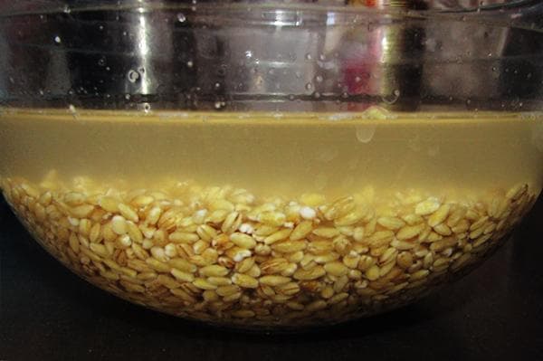 Faire tremper l'orge perlé avant la cuisson