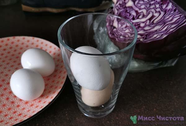 Oeufs de poule à peindre