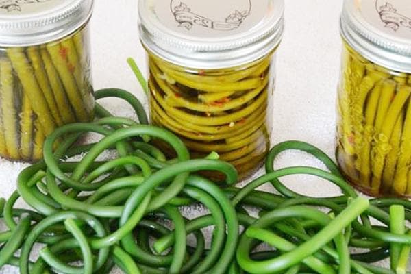 Flèches à l'ail mariné