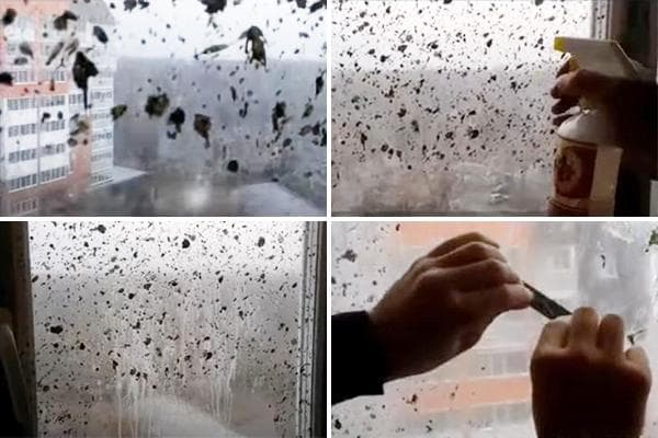 Enlever les taches de ciment sur les fenêtres