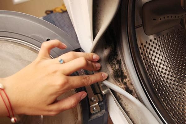 Moisissure sur le joint en caoutchouc de la machine à laver