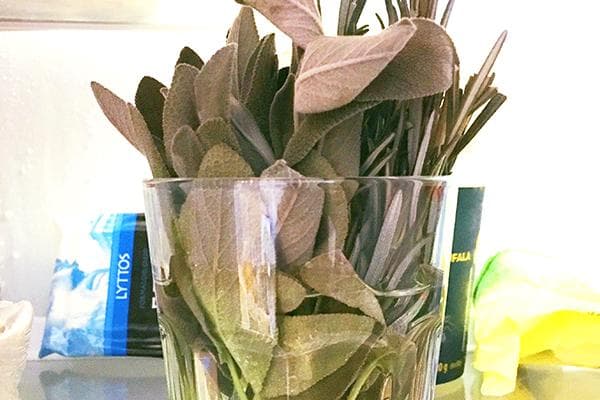 Conserver les légumes verts