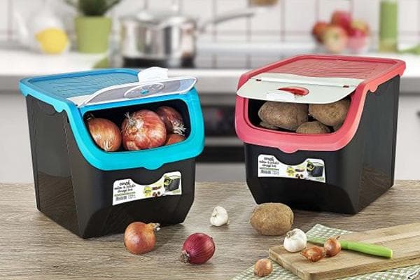 Conteneurs pour conserver les légumes dans la cuisine