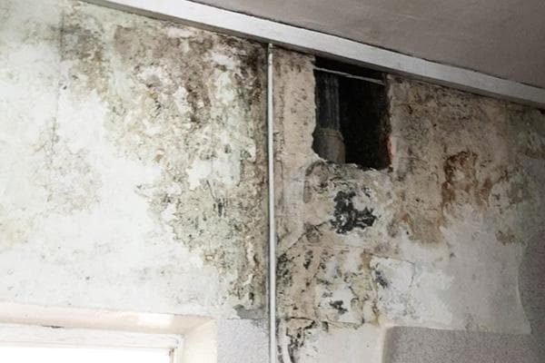 Humidité et moisissure dans le garage