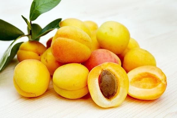 Abricots frais