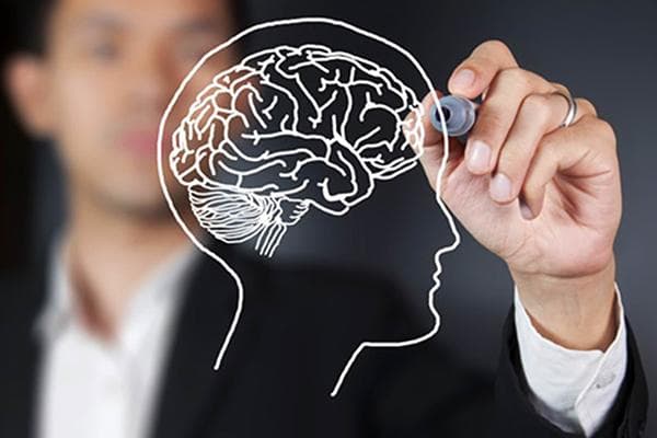 Contour de la tête avec le cerveau