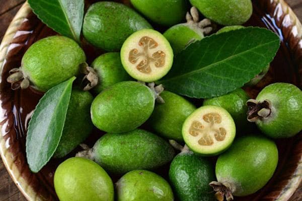 Fruits frais de feijoa