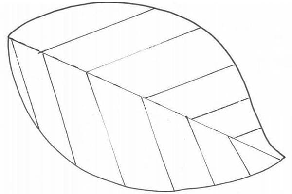 Modèle de tapis à feuilles matelassées