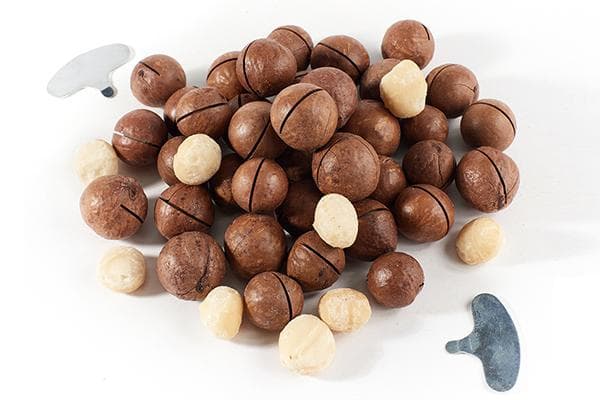 Clés de noix de macadamia